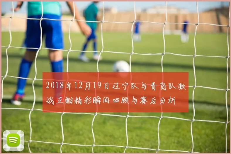 2018年12月19日辽宁队与青岛队激战正酣精彩瞬间回顾与赛后分析
